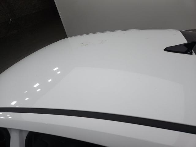 lotterental_225251580_ir5jt_1.jpg
