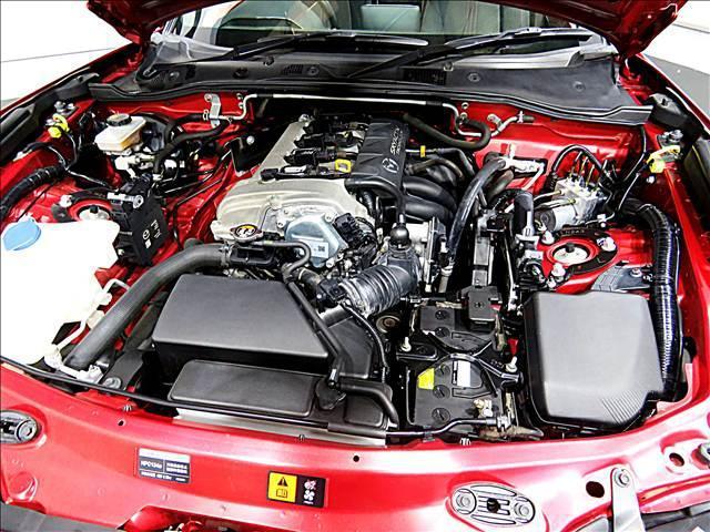 17981411_carP_l_20.jpg