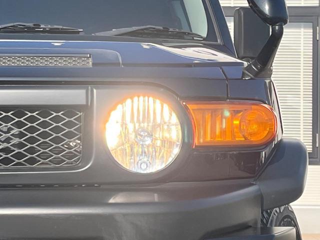 22699045_carP_l_6.jpg