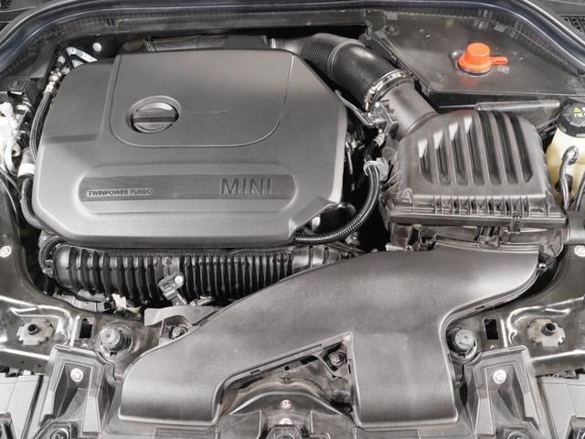 19320371_carP_l_14.jpg