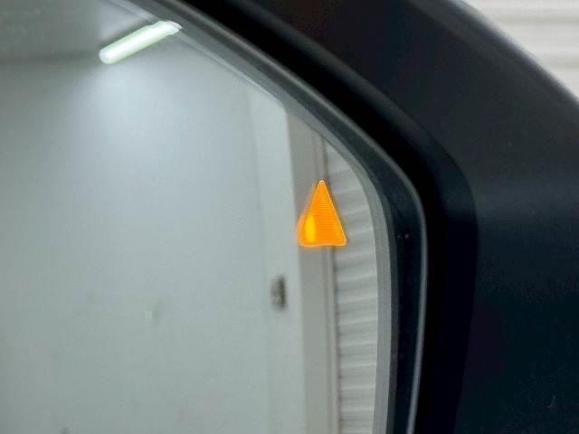 20619862_carP_l_11.jpg