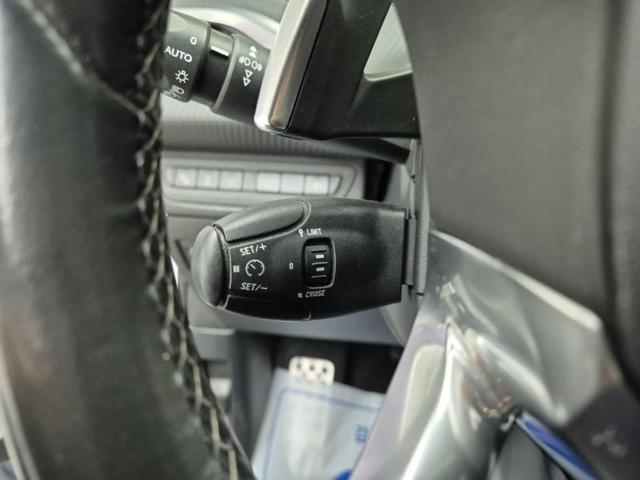 5101000317R16.jpg