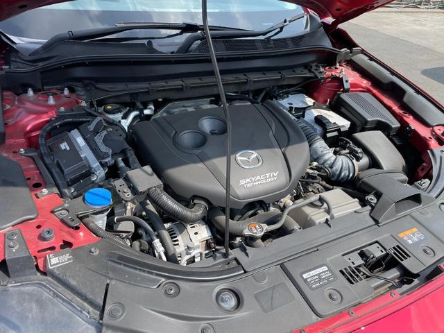 0402995A30250901W00108.jpg