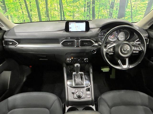 22800212_carP_l_3.jpg