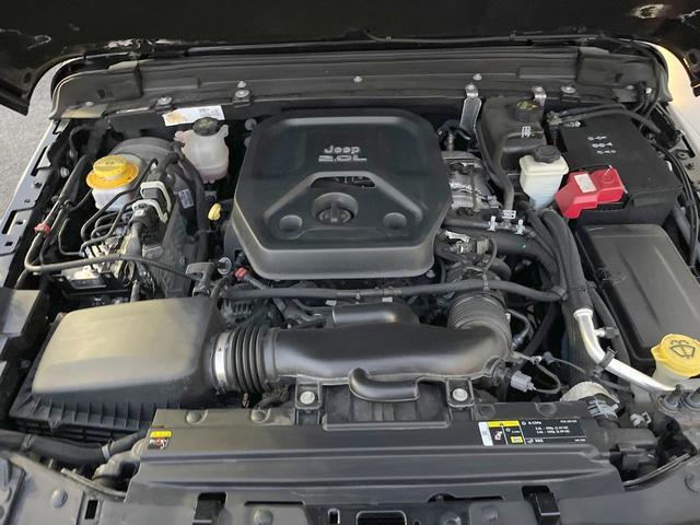 21983496_carP_l_20.jpg
