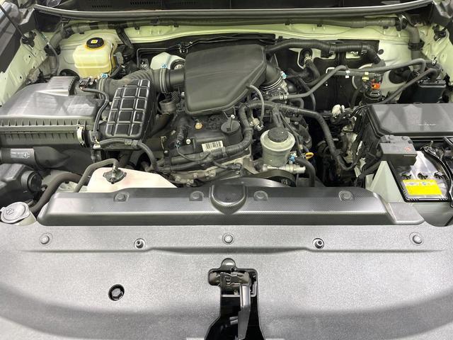 21096537_carP_l_18.jpg