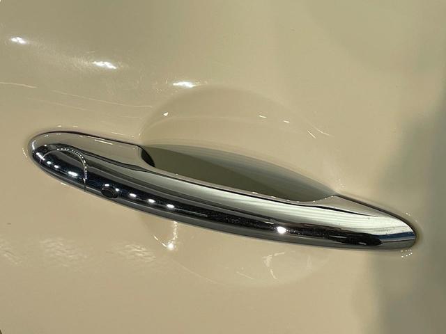 20782944_carP_l_14.jpg