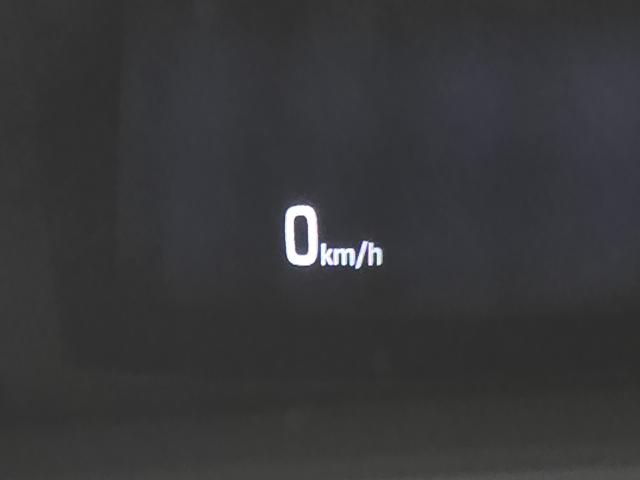 e08768a5e8f7a3d65b55dcc17bfb002f.jpeg