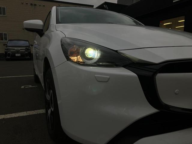 0303725A30260319W00407.jpg