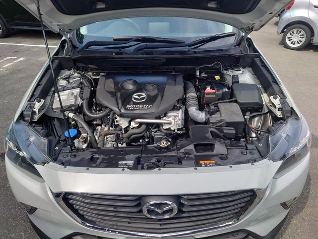 0903644A30250602W00303.jpg