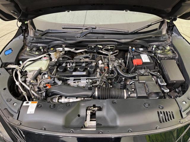 23207441_carP_l_16.jpg