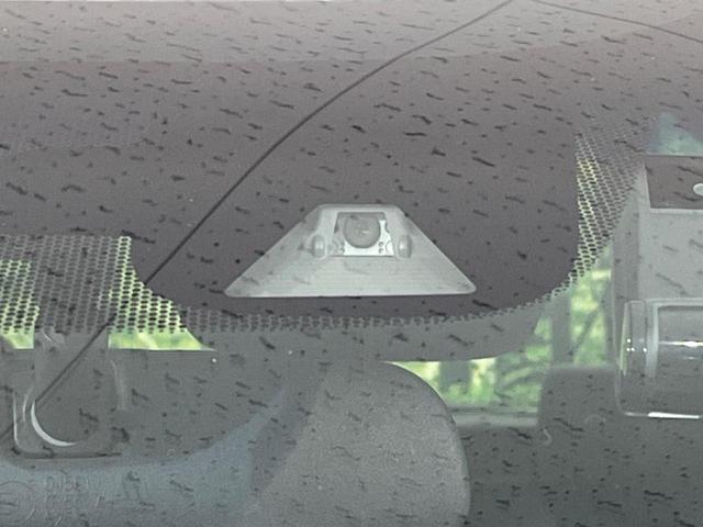 21765009_carP_l_13.jpg