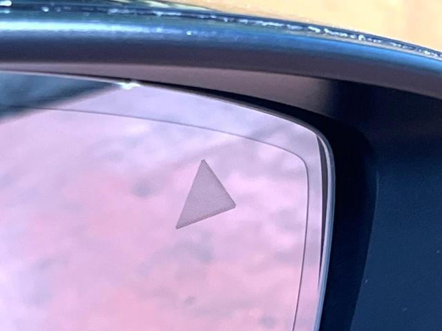 19944528_carP_l_13.jpg