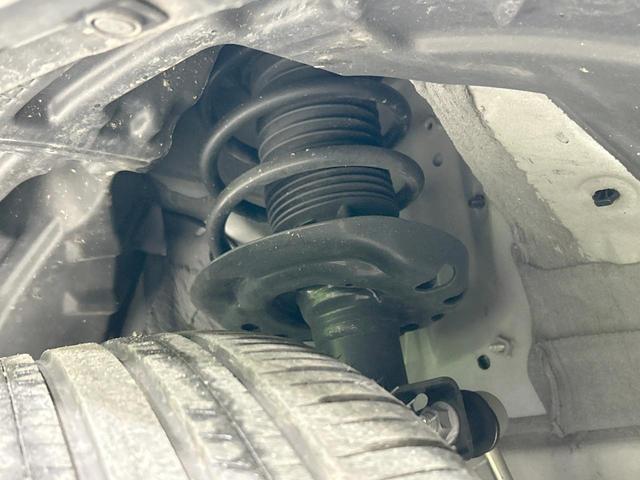 21114728_carP_l_20.jpg