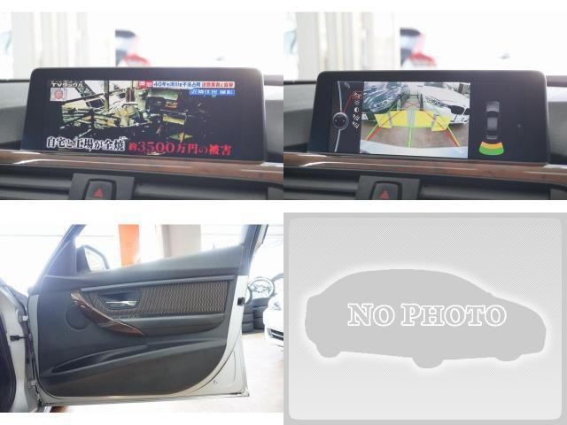 19708073_carP_l_19.jpg