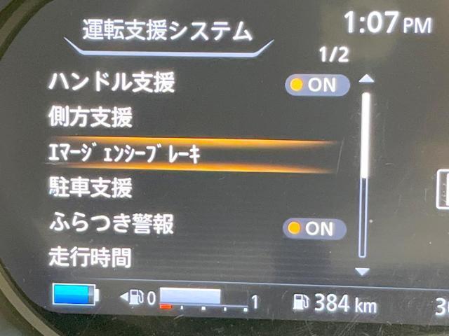 22392367_carP_l_13.jpg