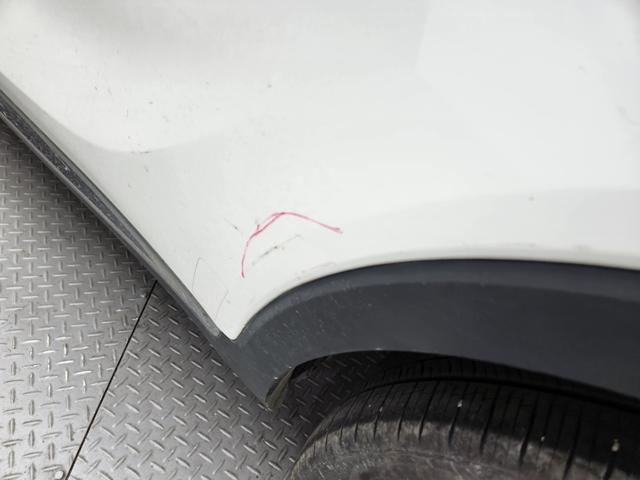lotterental_140111325_PAitT_9.jpg