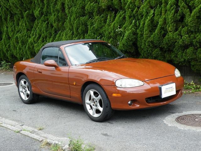 1001999A30240802W00209.jpg