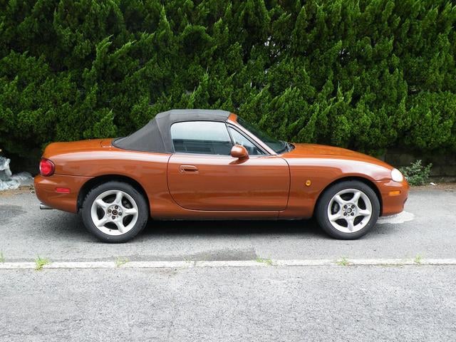 1001999A30240802W00210.jpg