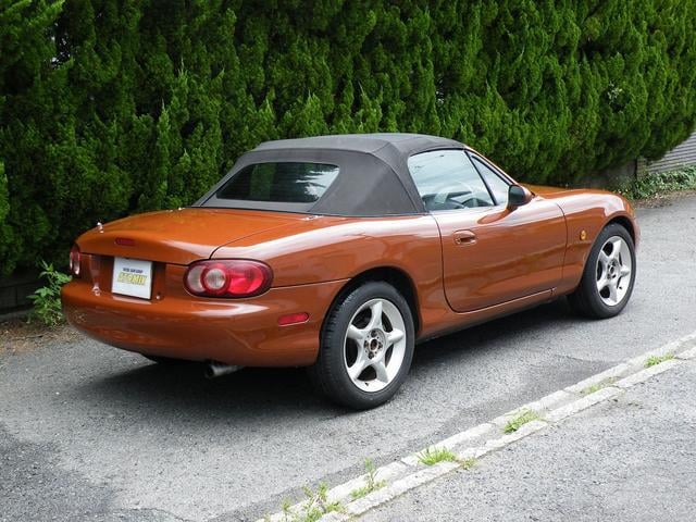 1001999A30240802W00212.jpg
