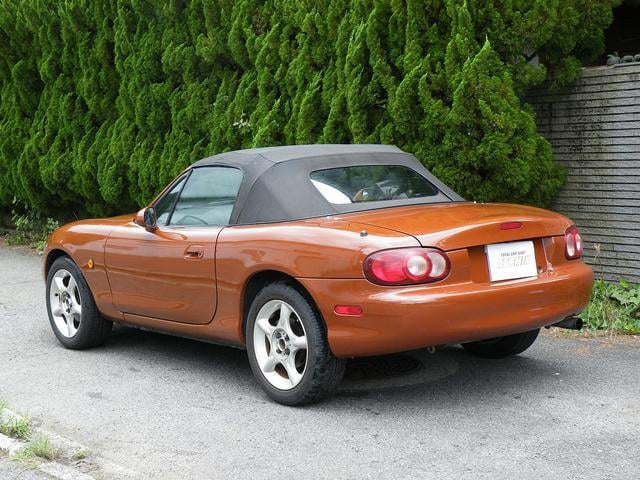1001999A30240802W00213.jpg