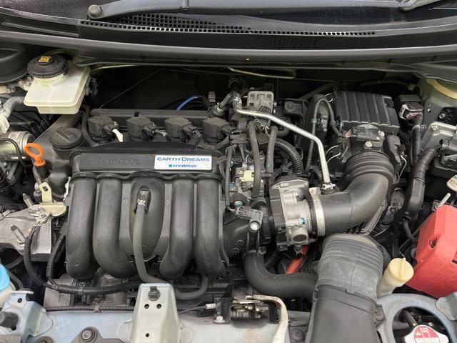 22778748_carP_l_16.jpg