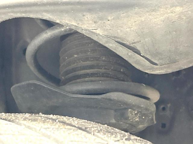 21307727_carP_l_20.jpg