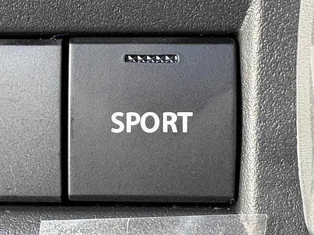20585199_carP_l_19.jpg