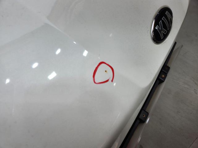 lotterental_152021994_87VbK_1.jpg