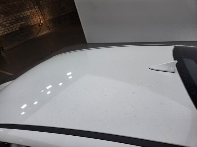lotterental_152030101_jXYDE_5.jpg