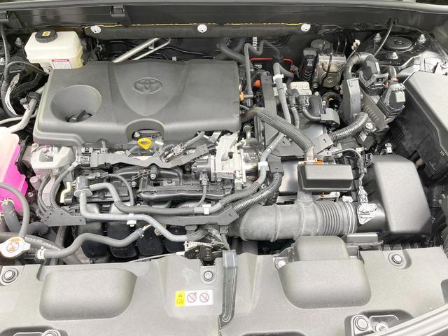22544399_carP_l_12.jpg