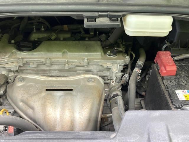 19491245_carP_l_16.jpg