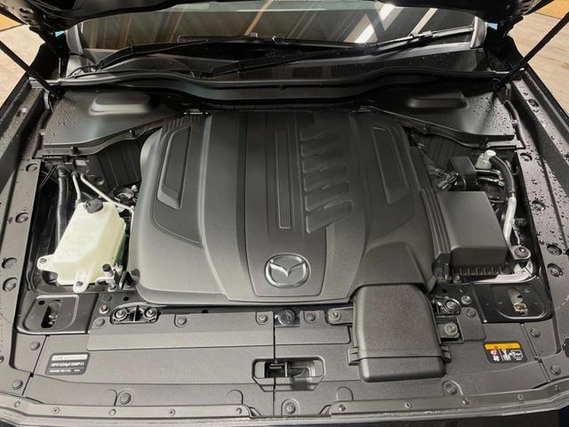 21324858_carP_l_18.jpg