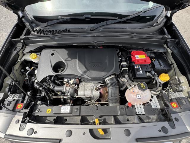 23150928_carP_l_17.jpg