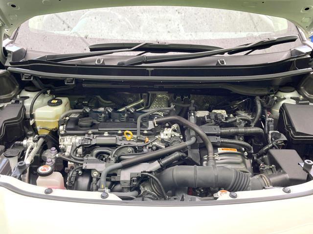 21927646_carP_l_16.jpg