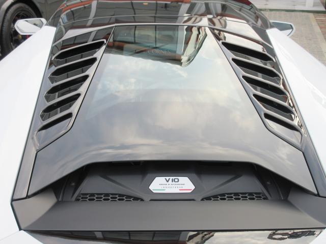 19568664_carP_l_17.jpg