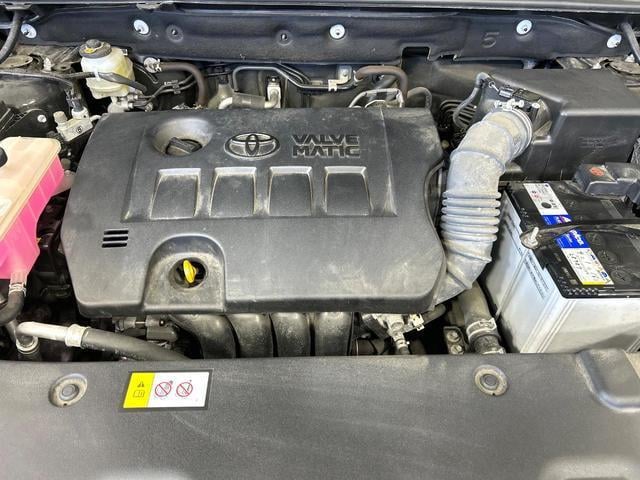19460983_carP_l_16.jpg