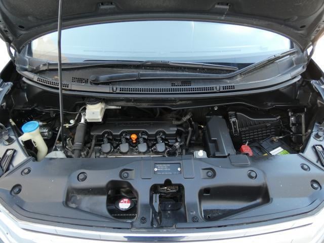 15696041_carP_l_18.jpg