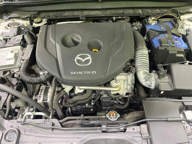 22205571_carP_l_12.jpg
