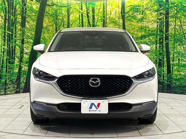 22205571_carP_l_7.jpg