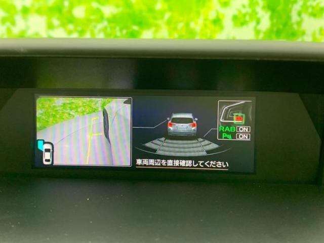 17344428_carP_l_6.jpg