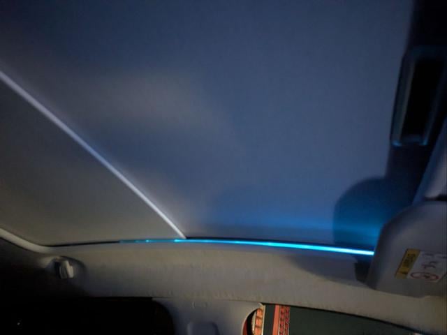 0541908A30251128W00107.jpg