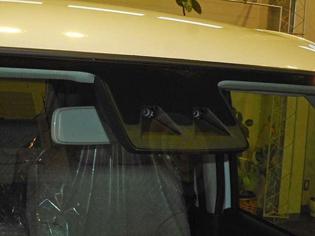 21359205_carP_l_5.jpg