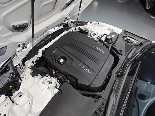 fbfd521c8c702dd60b43d8ac68fe8014.jpeg