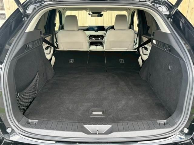 20533152_carP_l_9.jpg