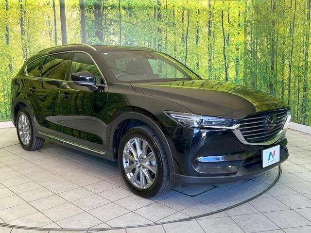 21600899_carP_l_12.jpg