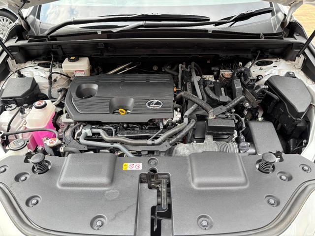 21740182_carP_l_15.jpg