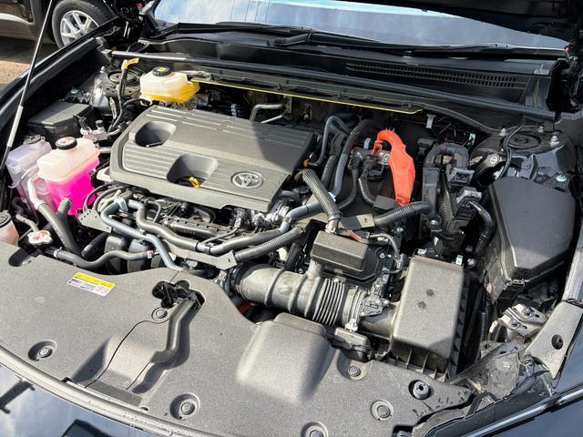 0900835A30260227W00418.jpg