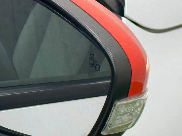 22255862_carP_l_13.jpg