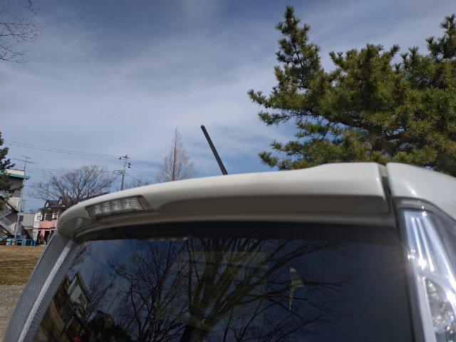 762a3c2ae8cb4c14fe488aef100b5573.jpg